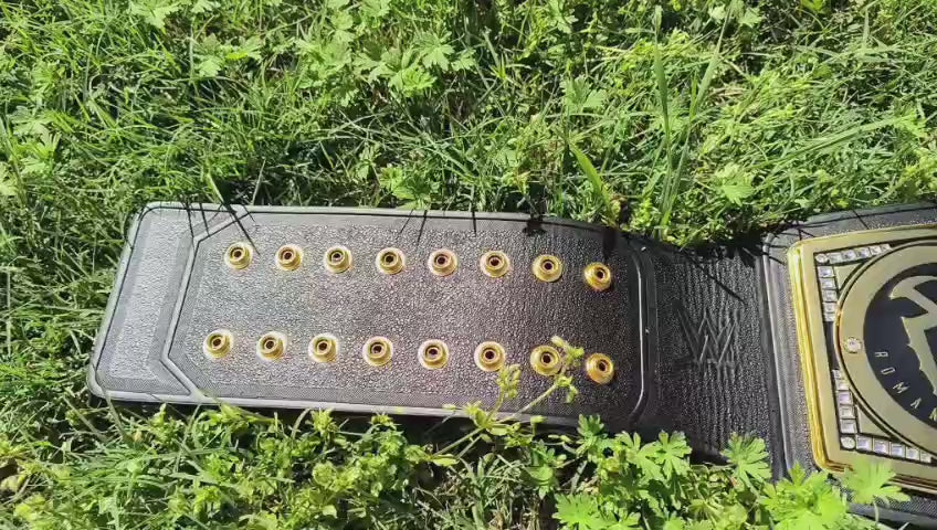 Undisputed Championship Wrestling Belt With Roman Reigns Side Plates